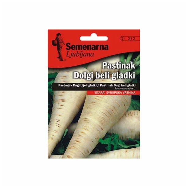 KORENOVKA SEMENARNA PASTINAK DOLGI BELI GLADKI V MALI VREČICI 272