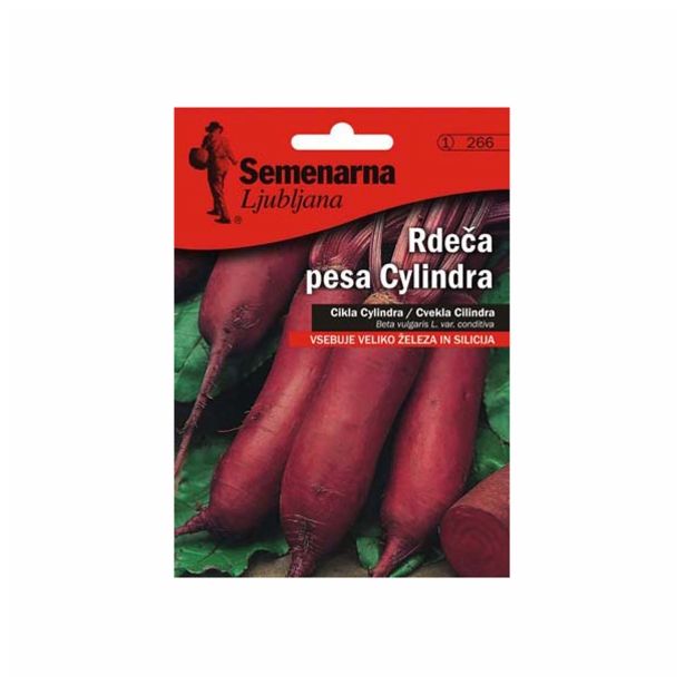 KORENOVKA SEMENARNA RDEČA PESA CYLINDRA V MALI VREČICI 266
