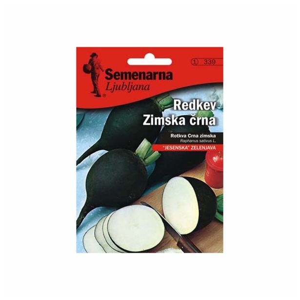 KORENOVKA SEMENARNA REDKEV ZIMSKA ČRNA V MALI VREČICI 339