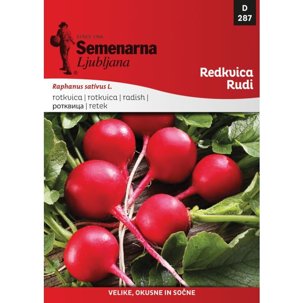 KORENOVKA SEMENARNA REDKVICA RUDI M. VREČKA 287