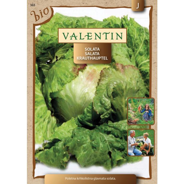 SEMENA SEMENARNA SOLATA 365 GRAZER KRAUTHAUPTEL 2