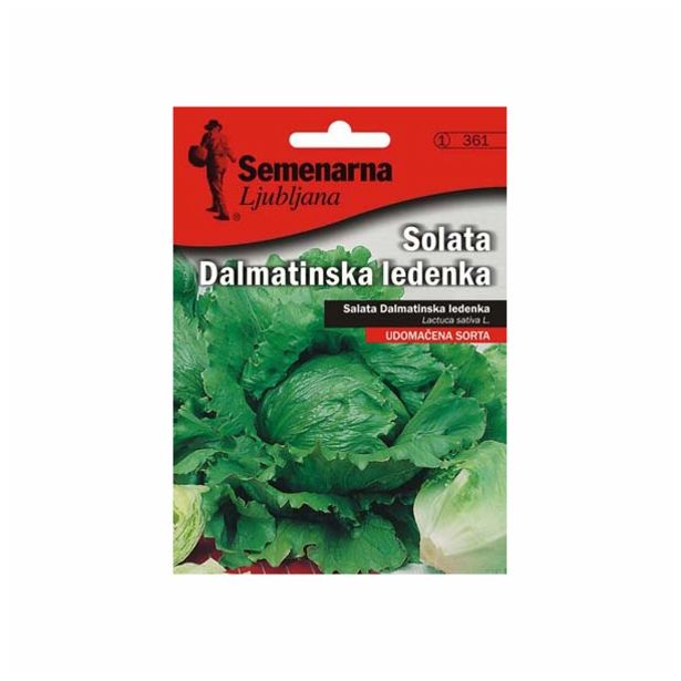 LISTNA ZELENJAVA SEMENARNA SOLATA DALMATINSKA 361 LEDENKA V MALI VREČICI