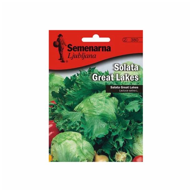 LISTNA ZELENJAVA SEMENARNA SOLATA GREAT LAKES V MALI VREČICI 380