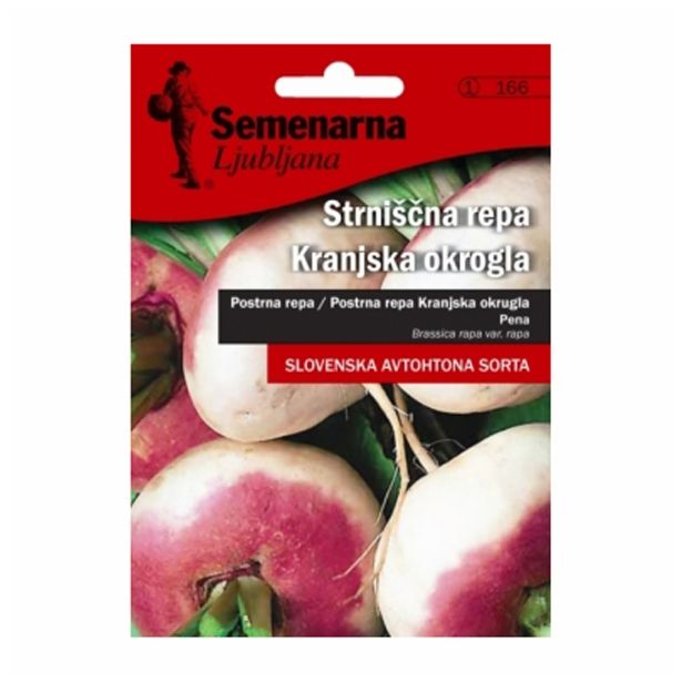 KORENOVKA SEMENARNA STRNIŠČNA REPA KRANJSKA OKROG.V MALI VREČICI 166