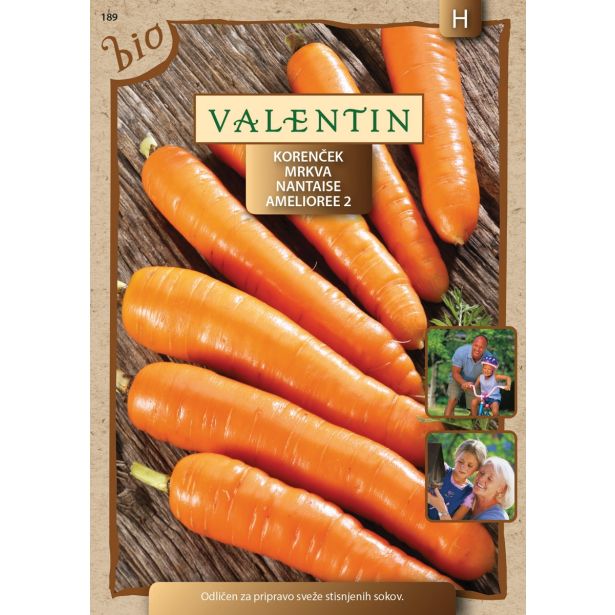 KORENOVKA VALENTIN KORENČEK NANTES BIO