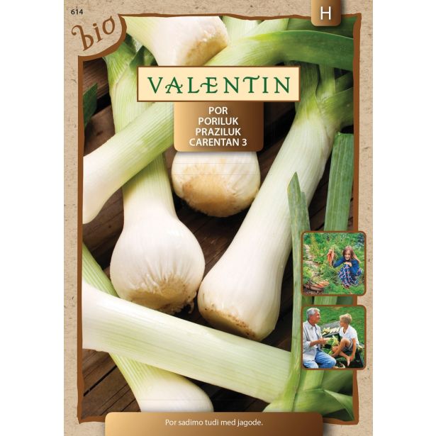 SEMENA VALENTIN POR CARENTAN