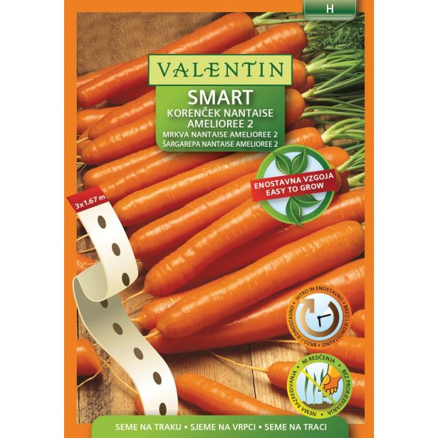 SEMENA VALENTIN SMART TRAK KORENČEK NANTAISE AMELIOREE 2