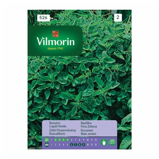BAZILIKA VILMORIN DROBNOLISTA ZELENA