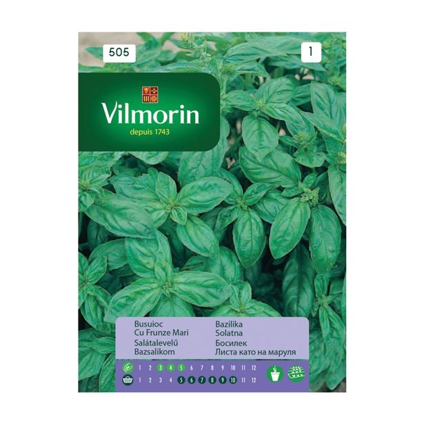 BAZILIKA VILMORIN ZELENA