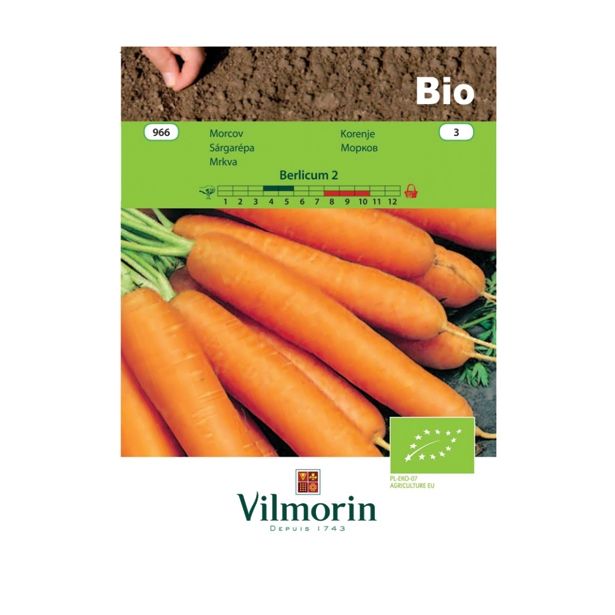 KORENOVKA VILMORIN BIO KORENJE BERLICUM 2