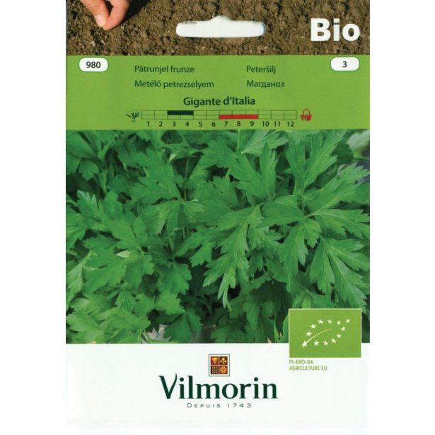 PETERŠILJ VILMORIN BIO GIGANTE D'ITAIA