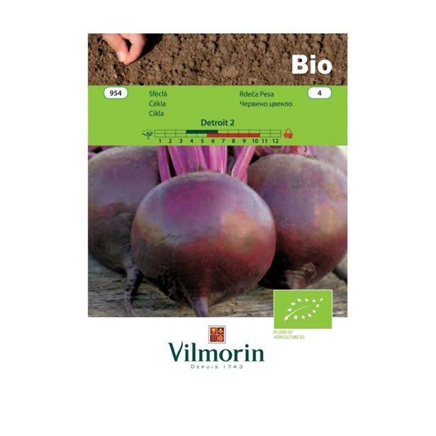 KORENOVKA VILMORIN BIO RDEČA PESA DETROIT 2