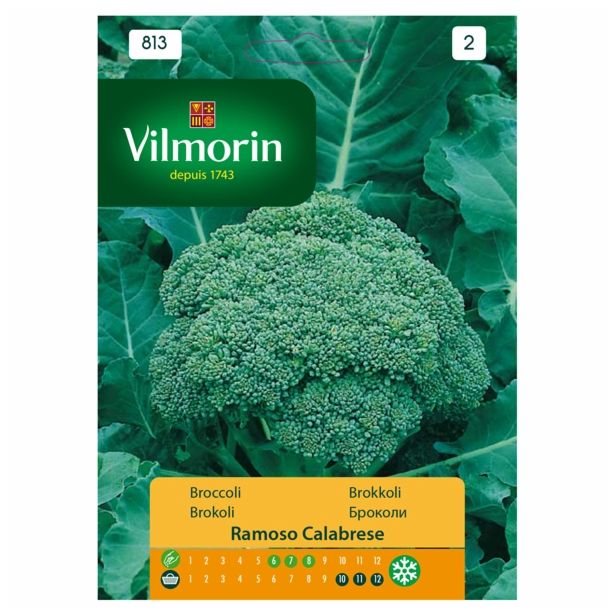 SEMENA VILMORIN BROKOLI RAMOSO CALABRESE