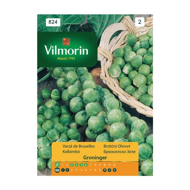 SEMENA VILMORIN BRSTIČNI OHROVT GRONINGER