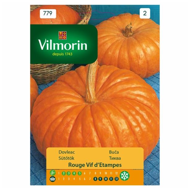 PLODOVKA VILMORIN BUČA RDEČA ROUGE VIF D'ETAMPES