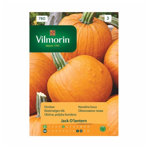 PLODOVKA VILMORIN BUČA ZA REZANJE JACK O'LANTERN