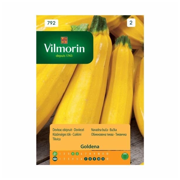 PLODOVKA VILMORIN BUČKA RUMENA GOLDENA