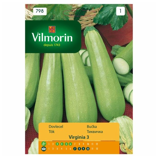 SEMENA VILMORIN BUČKA VIRGINIA 3
