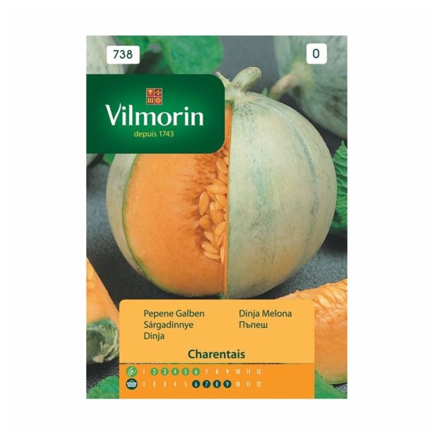 PLODOVKA VILMORIN DINJA MELONA CHARENTAIS