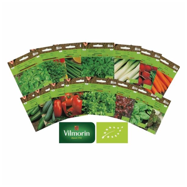 LISTNA ZELENJAVA VILMORIN GLAVNATA SOLATA NA TRAKU REGINA DI MAGGIO