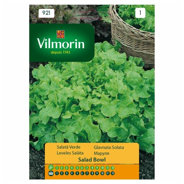 SEMENA VILMORIN GLAVNATA SOLATA SALAD BOWL