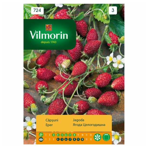 SEME VRTNINE VILMORIN JAGODA