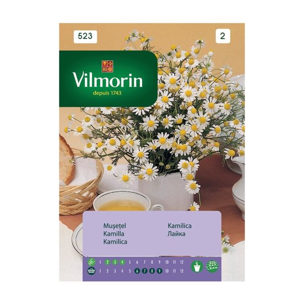 SEME DIŠAVNICE VILMORIN KAMILICA