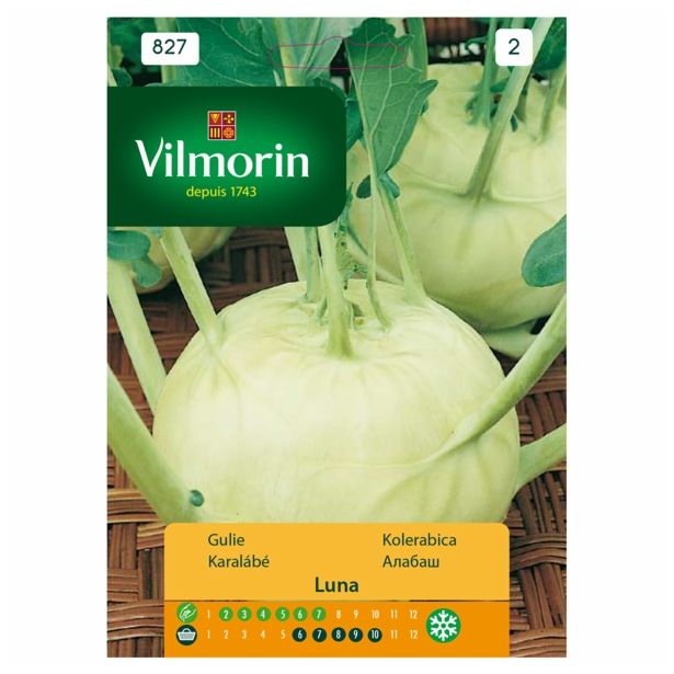 KORENOVKA VILMORIN KOLERABICA LUNA