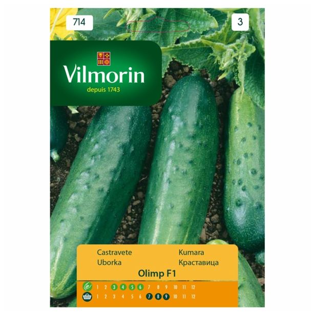 PLODOVKA VILMORIN KUMARA OLIMP F1