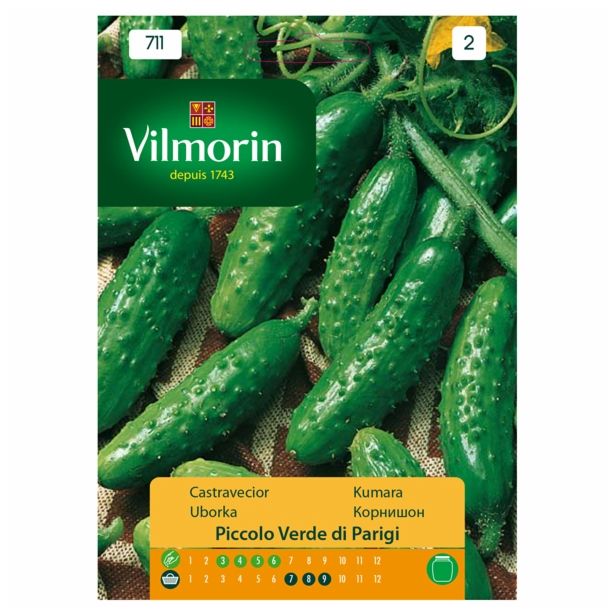 PLODOVKA VILMORIN KUMARICE ZA VLAGANJE PICOLO VERDE DI PARIGI