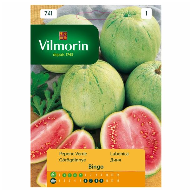 SEMENA VILMORIN LUBENICA BINGO