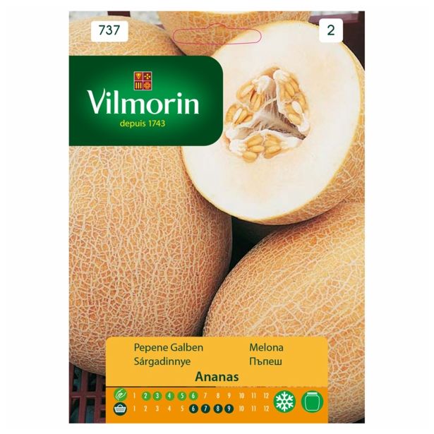 PLODOVKA VILMORIN MELONA ANANAS