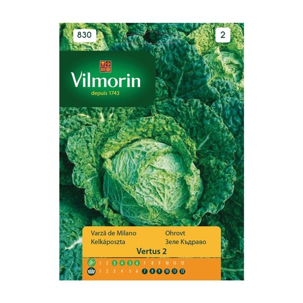 SEMENA VILMORIN OHROVT VERTUS 2