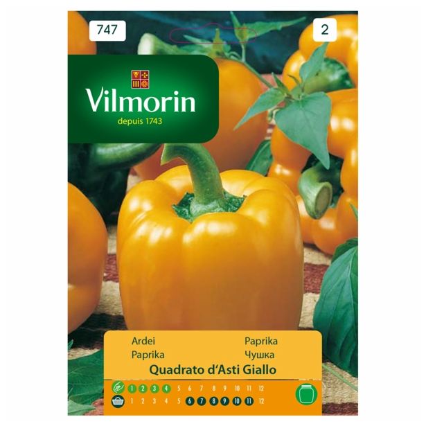 SEMENA VILMORIN PAPRIKA BABURA QUDRATO D'ASTI GIALLO