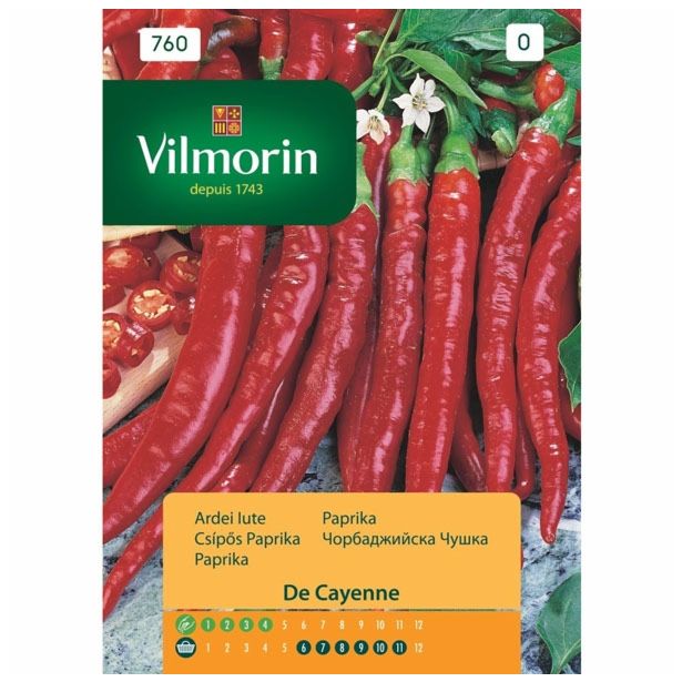 SEMENA VILMORIN PAPRIKA RDEČA DE CAYENNA