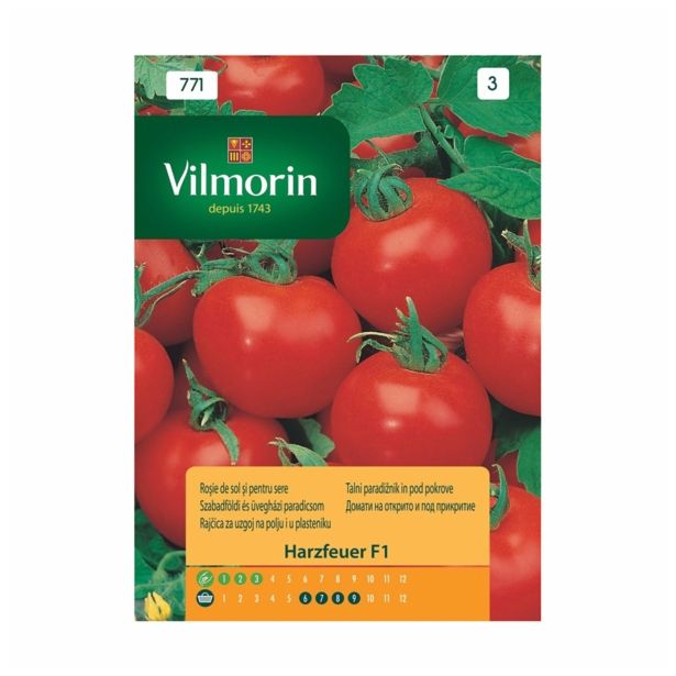PLODOVKA VILMORIN PARADIŽNIK HARZFEUER F1