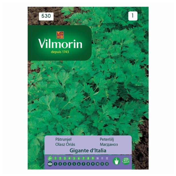 SEMENA VILMORIN PETERŠILJ GIGANTE D'ITAIA