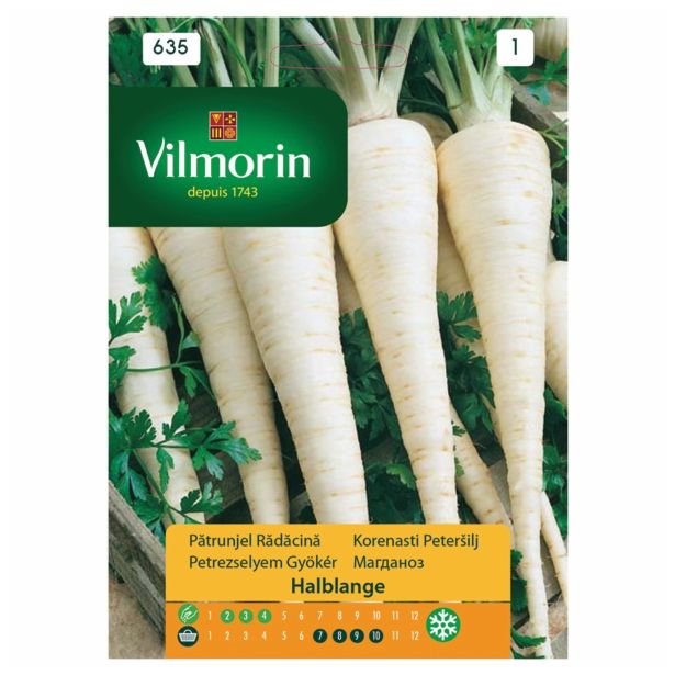 SEMENA VILMORIN PETERŠILJ KORENASTI HALBLANGE