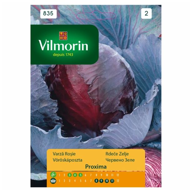 KAPUSNICA VILMORIN RDEČE ZELJE RUFUS