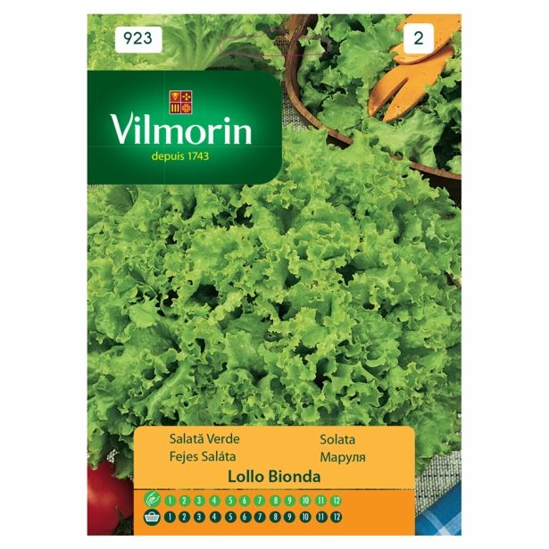 SEMENA VILMORIN SOLATA LOLLO BIONDA