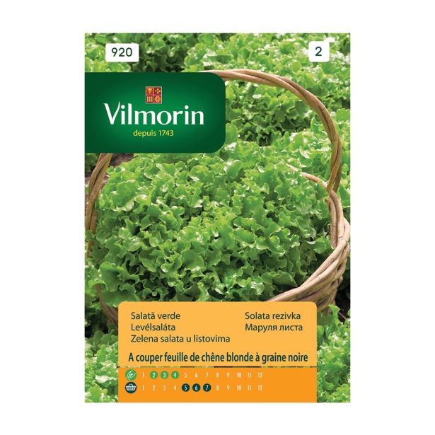 SEMENA VILMORIN SOLATA REZIVKA A COUPER