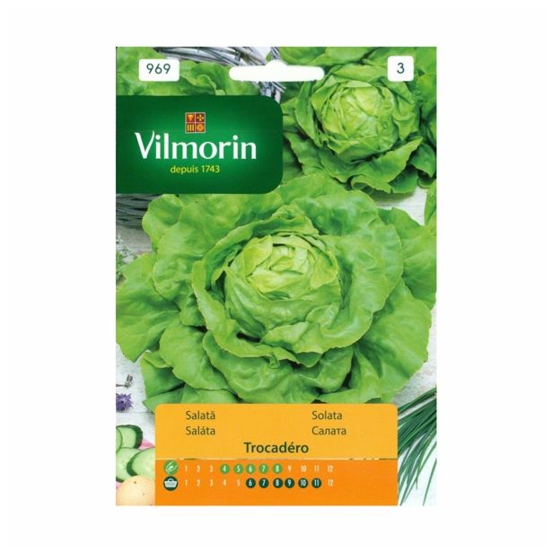 SEMENA VILMORIN SOLATA TROCADERO