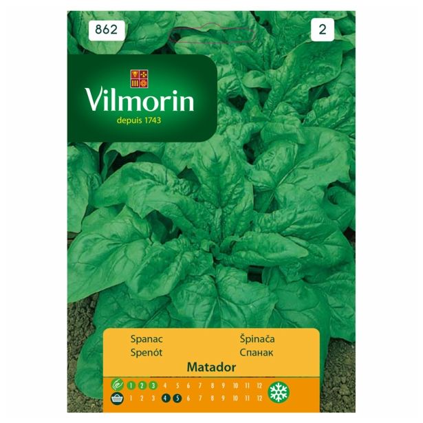 LISTNA ZELENJAVA VILMORIN ŠPINAČA MATADOR