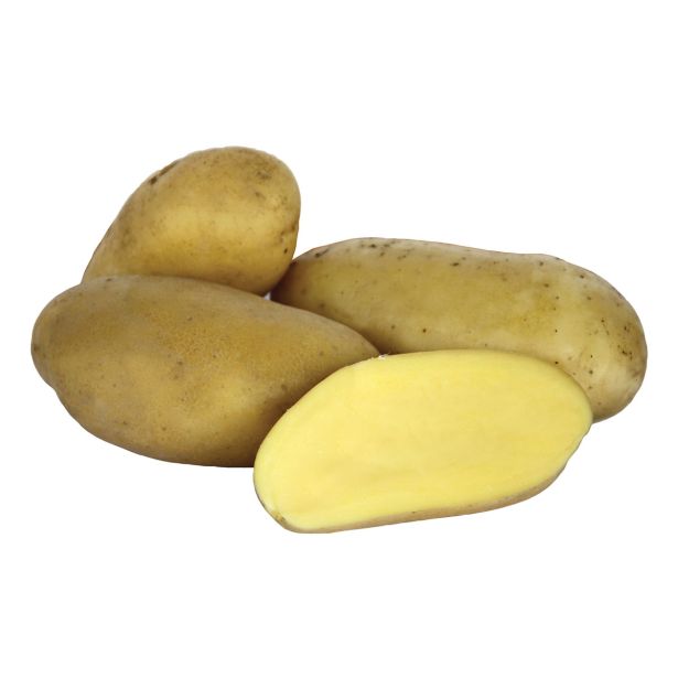 SEMENSKI KROMPIR SEMENARNA CELTIANE 5 KG ZGODEN KIFELJČAR