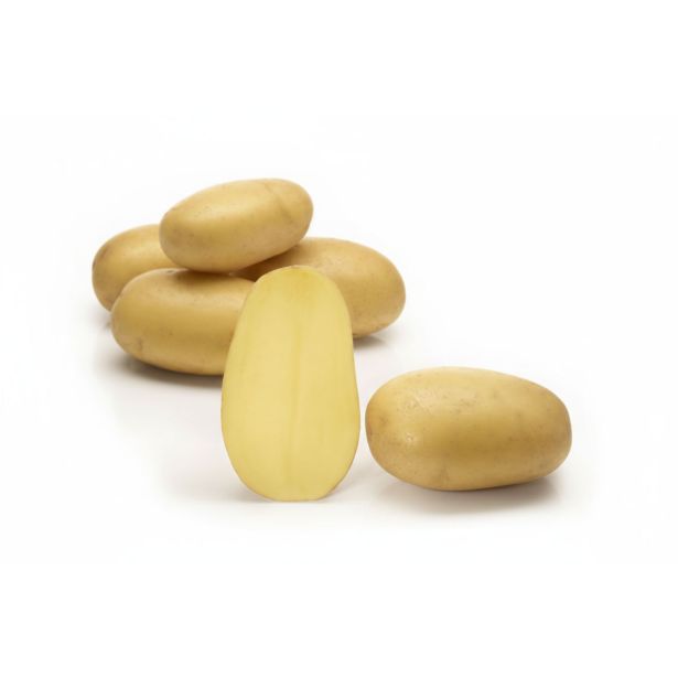 SEMENSKI KROMPIR SEMENARNA QUEEN ANNE ZGODNJA 3 KG 30-50MM