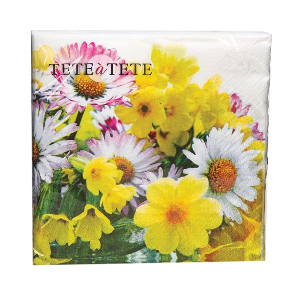 SERVIETE RUMEN ŠOPEK 33X33 CM 20/1