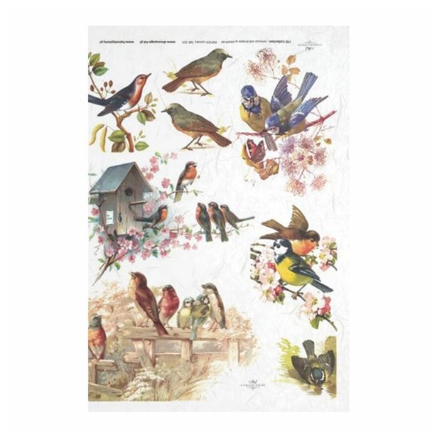 SERVIETNA, DECOUPAGE TEH. RAYHER DECOUPAGE PAPIR RIŽEV A4 PTIČKI