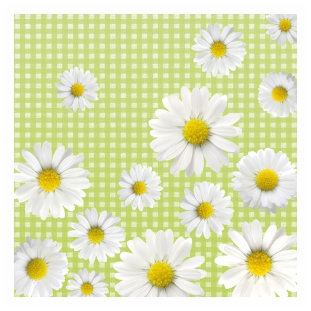 SERVIETNA, DECOUPAGE TEH. RAYHER PRTIČKI PAP. MARJETICE 33X33 CM, 20 KOS