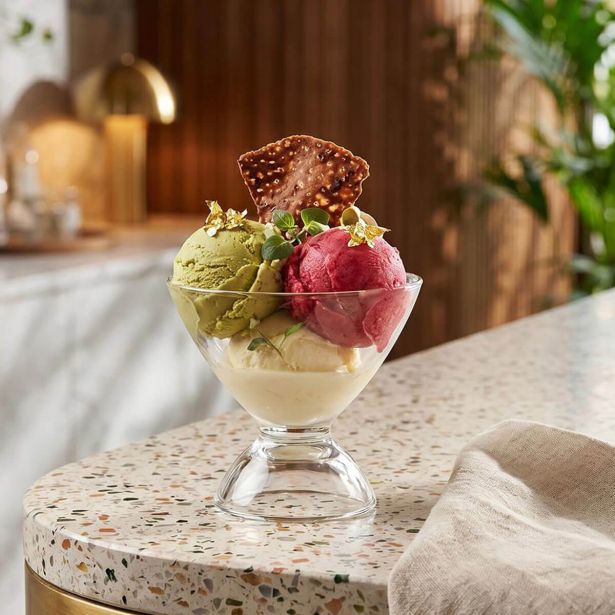 SERVIRNA SKLEDA 225 ML ICE VILLE 2/1 SADNA KUPA