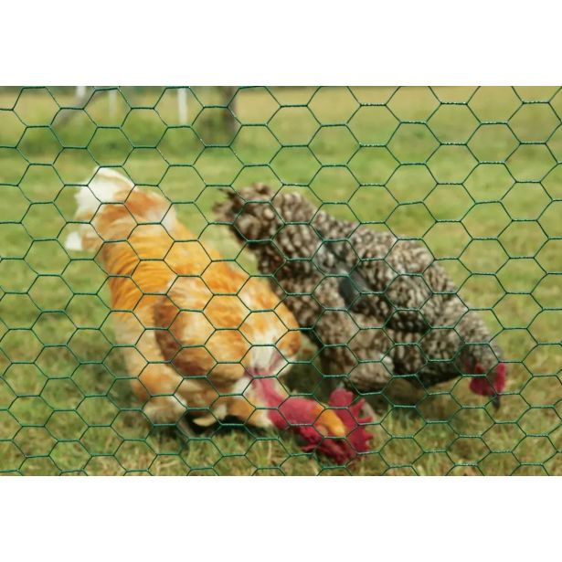 ŠESTOGLATA PLETENA MREŽA